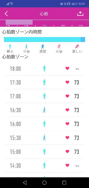 f:id:merurin:20190602181012j:image