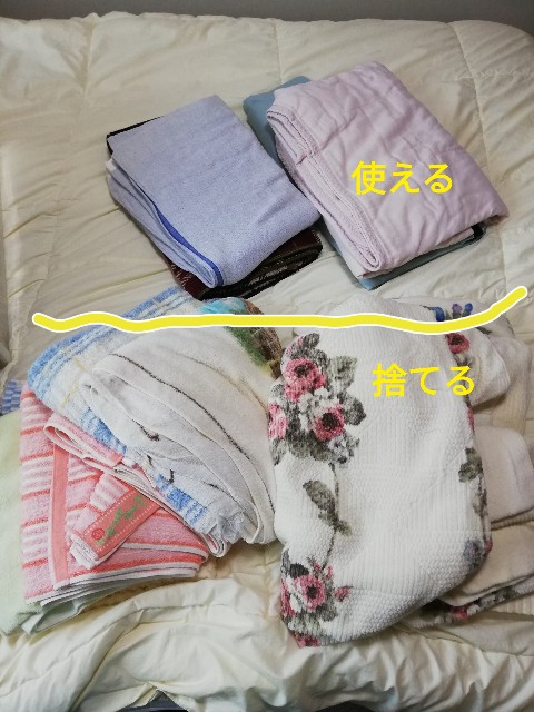 f:id:merurin:20210523143009j:image