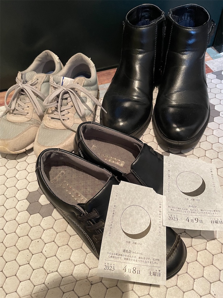 f:id:merurin:20230410163132j:image