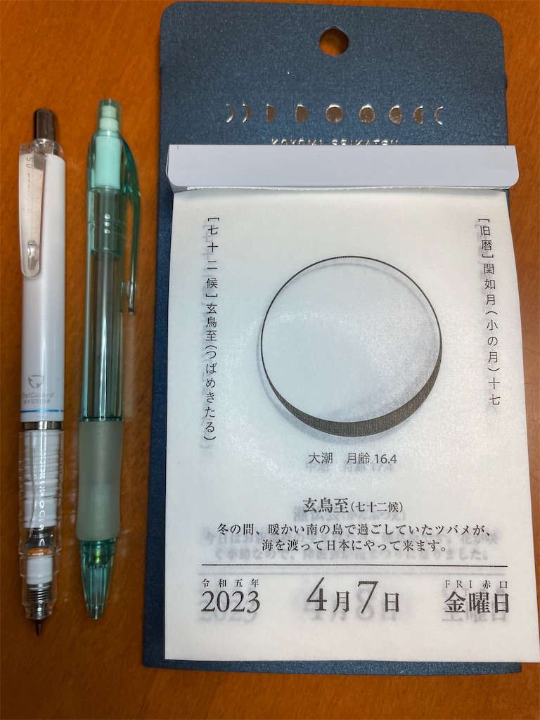 f:id:merurin:20230410163139j:image