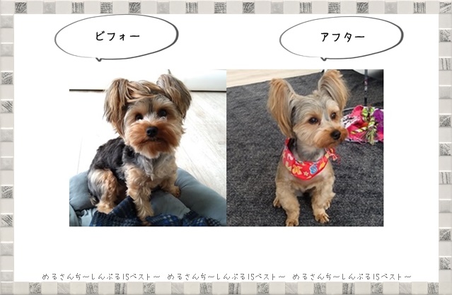 f:id:merusan:20190809145438j:plain f:id:merusan:20190809145438j:plain