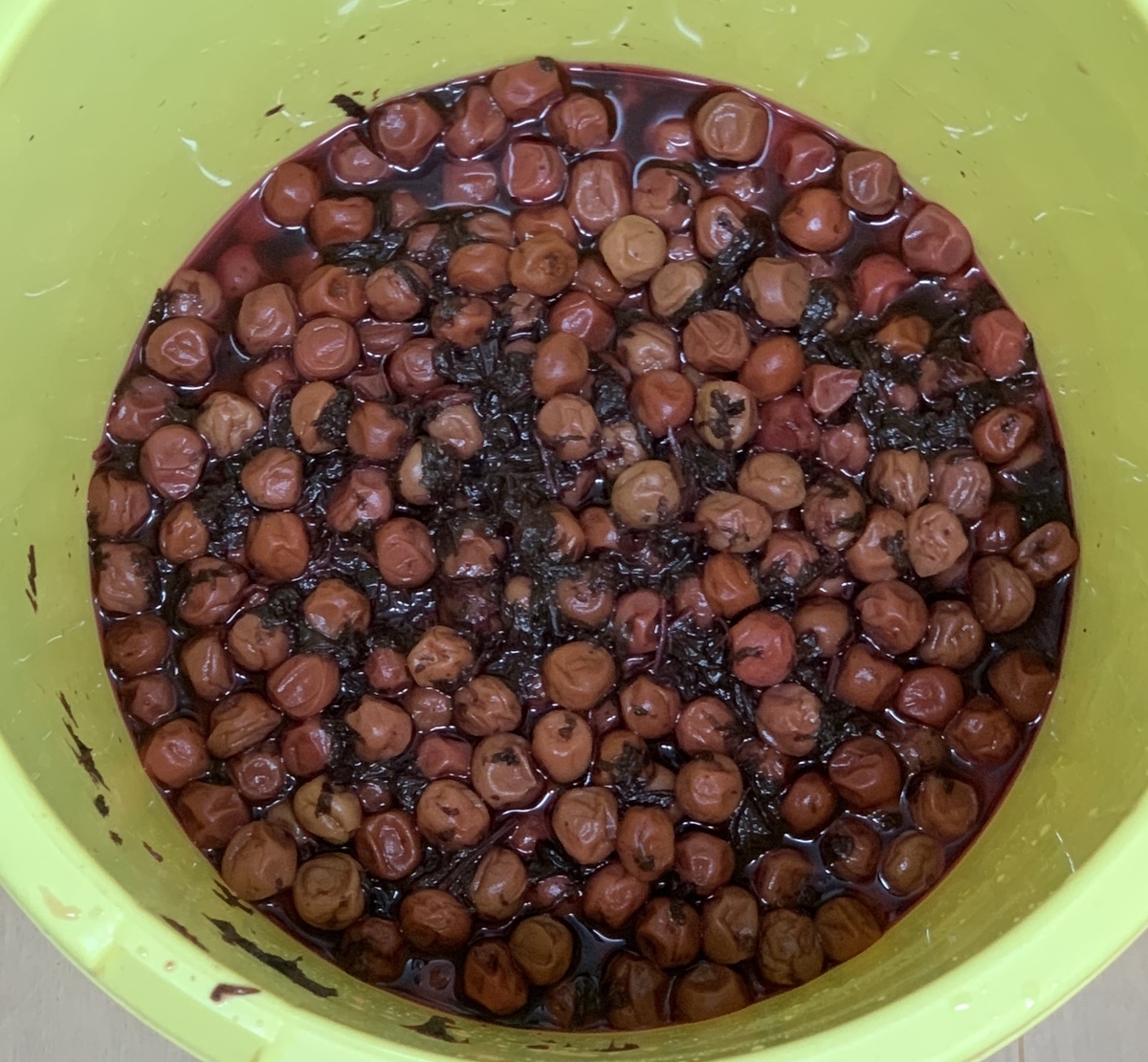 f:id:merylife:20200728143842j:plain f:id:merylife:20200728143842j:plain