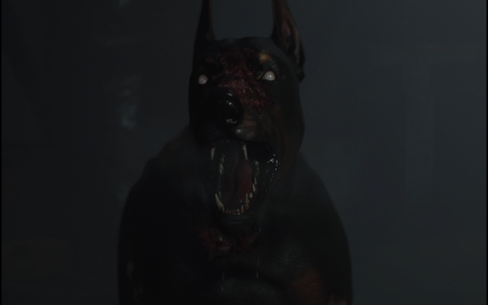 バイオハザード Re 2とゾンビアニマル飼いたいの 顔面ソニーレイなの