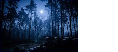 f:id:mesgamer:20190306180003g:plain