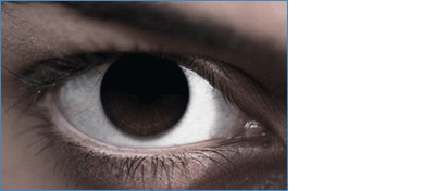 f:id:mesgamer:20190306180101p:plain