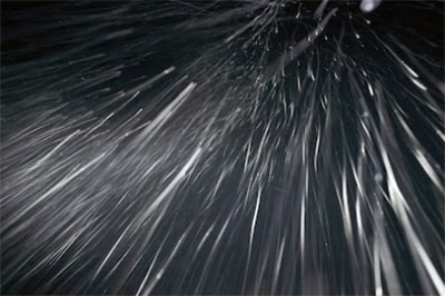 f:id:mesgamer:20190306180327j:plain