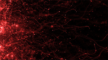 f:id:mesgamer:20190306180534j:plain