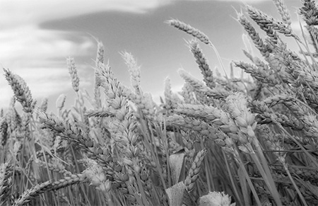 f:id:mesgamer:20190930180356j:plain