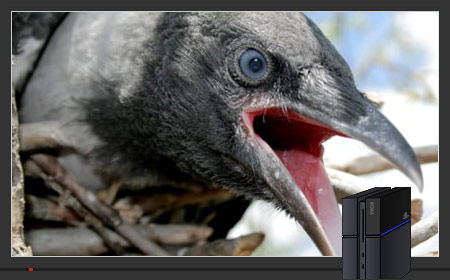 f:id:mesgamer:20200529163200j:plain