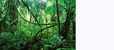 f:id:mesgamer:20210331235147j:plain