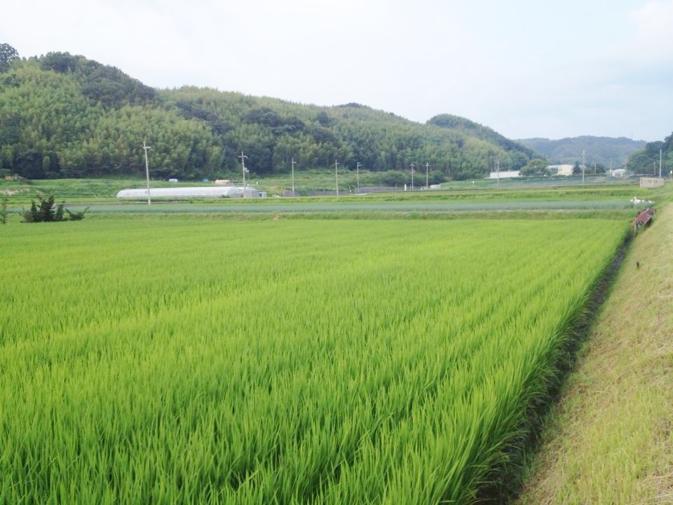 f:id:meshi2:20181022101000j:plain f:id:meshi2:20181022101000j:plain