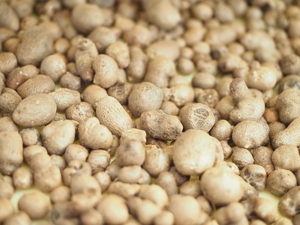 f:id:meshi2:20181022101535j:plain f:id:meshi2:20181022101535j:plain