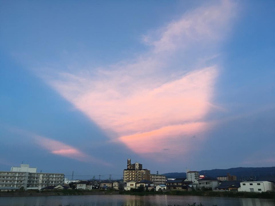 f:id:meshi2:20181022101632j:plain f:id:meshi2:20181022101632j:plain