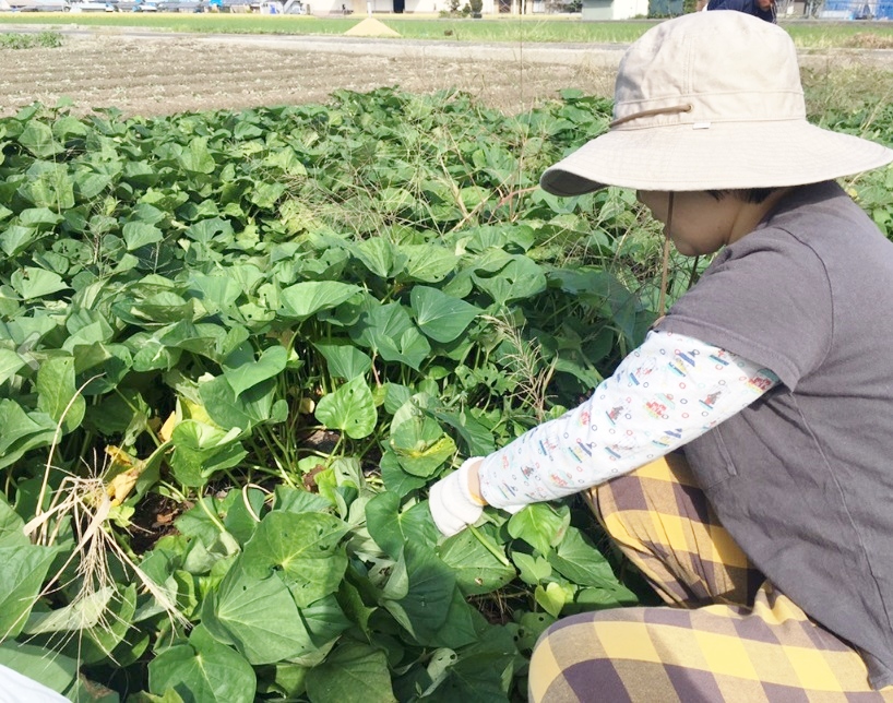 f:id:meshi2:20181022101839j:plain f:id:meshi2:20181022101839j:plain