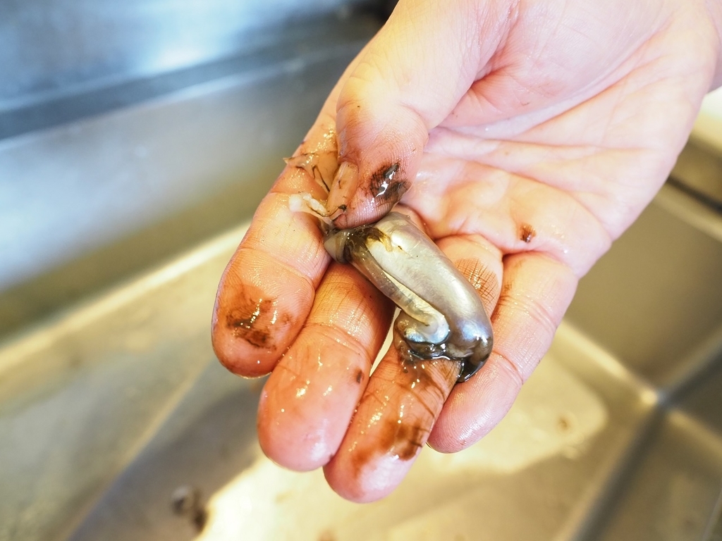 f:id:meshi2:20190111140541j:plain f:id:meshi2:20190111140541j:plain