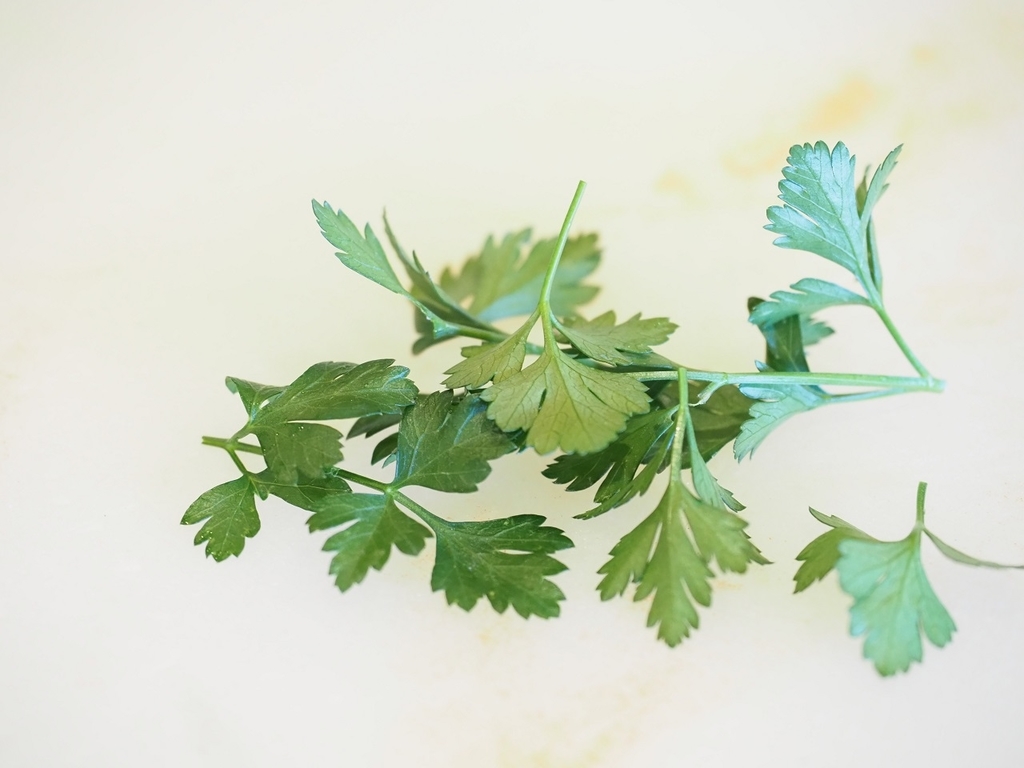 f:id:meshi2:20190111140752j:plain f:id:meshi2:20190111140752j:plain