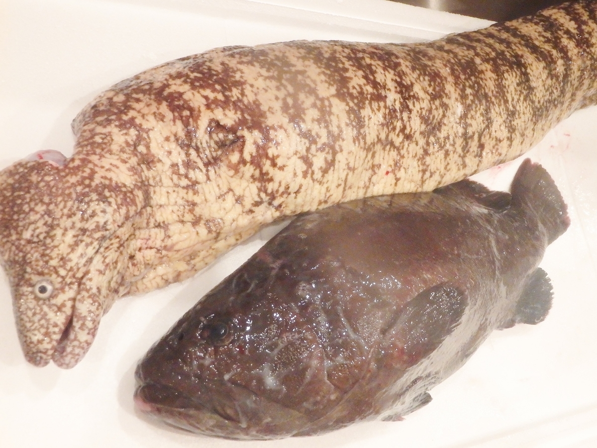 f:id:meshi2:20191103195511j:plain f:id:meshi2:20191103195511j:plain