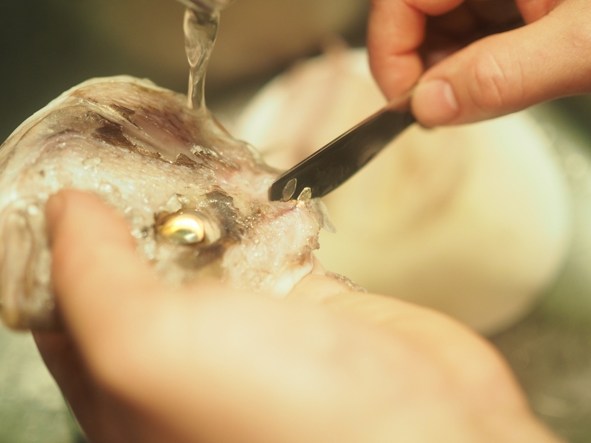 f:id:meshi2:20191103210009j:plain f:id:meshi2:20191103210009j:plain