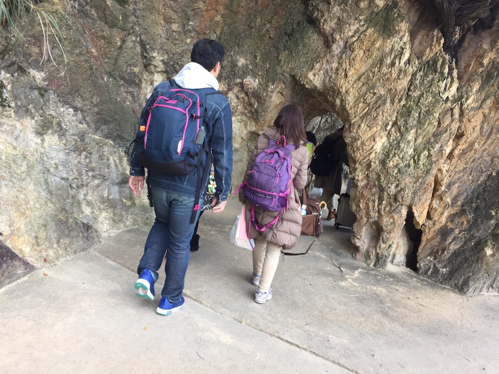 f:id:mesina-1103:20161126061615j:image f:id:mesina-1103:20161126061615j:image