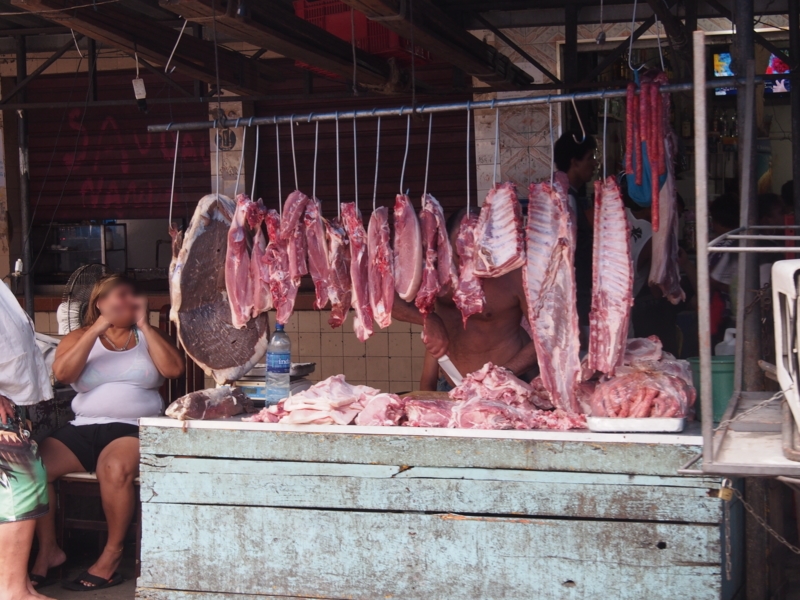 f:id:mesitsu:20170126144022j:plain