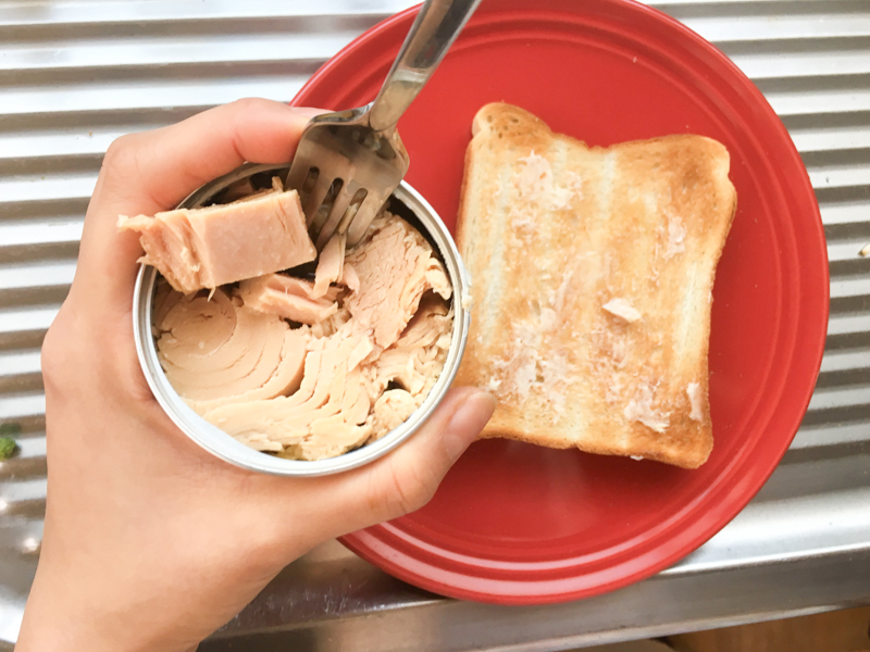 f:id:mesitsu:20170209184754j:plain