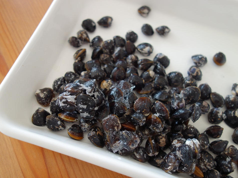 f:id:mesitsu:20180806111501j:plain