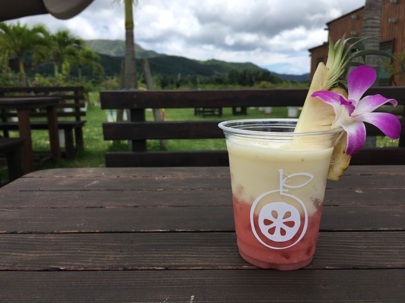 f:id:mesitsu_la:20170708222829j:plain f:id:mesitsu_la:20170708222829j:plain