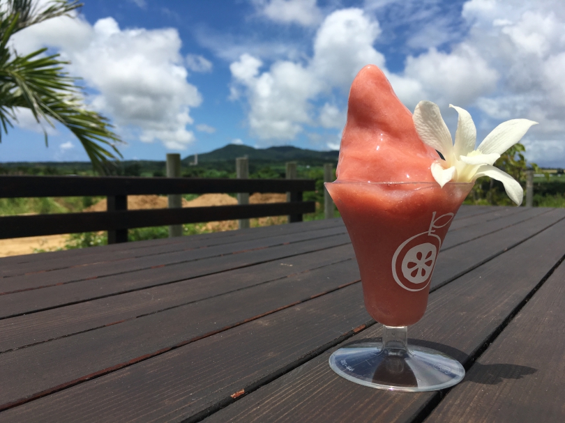 f:id:mesitsu_la:20170708223319j:plain f:id:mesitsu_la:20170708223319j:plain