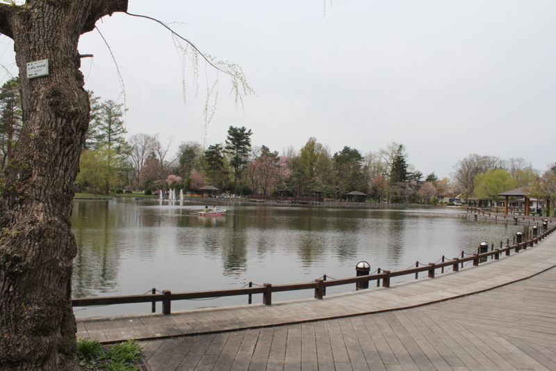 f:id:mesitsu_lc:20160516201356j:plain