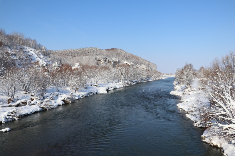 f:id:mesitsu_lc:20161201125221j:plain