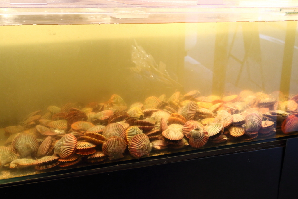 f:id:mesitsu_lc:20170911175906j:plain f:id:mesitsu_lc:20170911175906j:plain