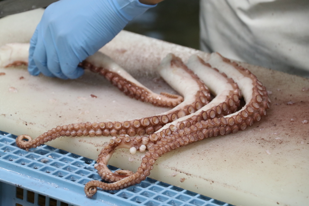 f:id:mesitsu_lc:20170918185928j:plain f:id:mesitsu_lc:20170918185928j:plain