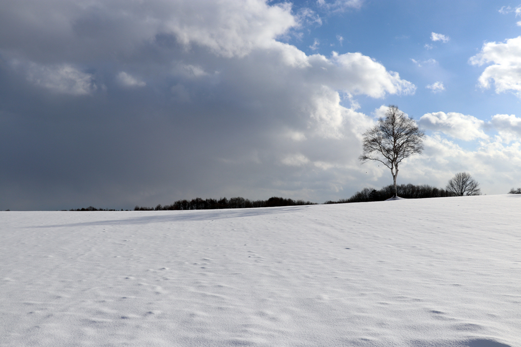 f:id:mesitsu_lc:20171218131511j:plain f:id:mesitsu_lc:20171218131511j:plain