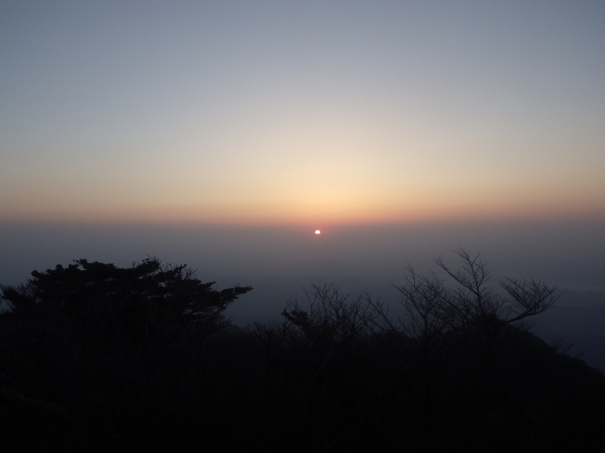 f:id:messagetea:20190620171343j:plain