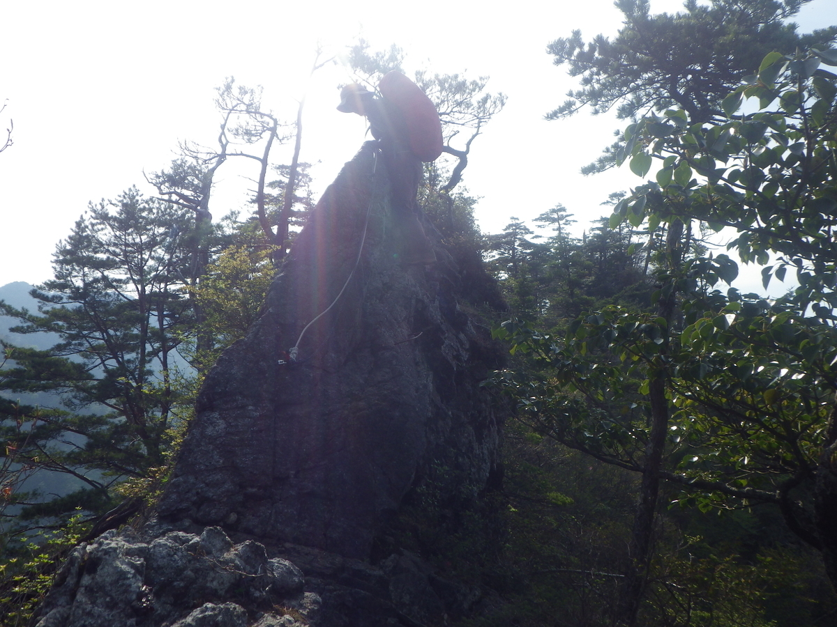 f:id:messagetea:20190620181729j:plain