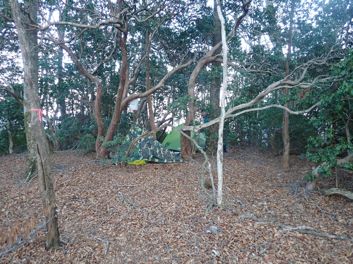 f:id:messagetea:20190620183616j:plain