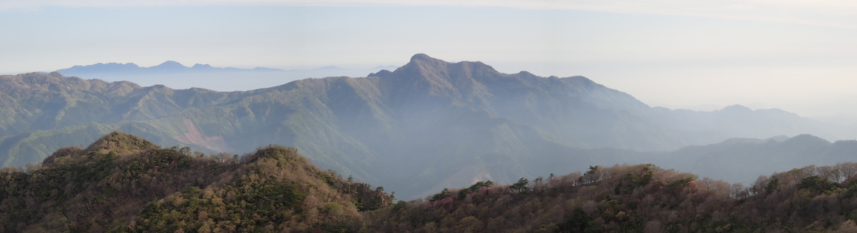 f:id:messagetea:20190622145750j:plain