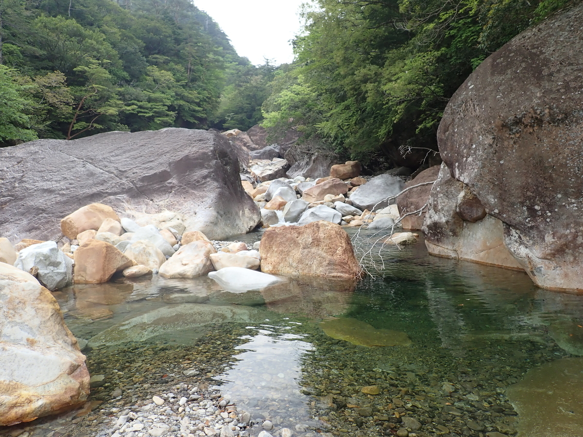 f:id:messagetea:20190622154923j:plain