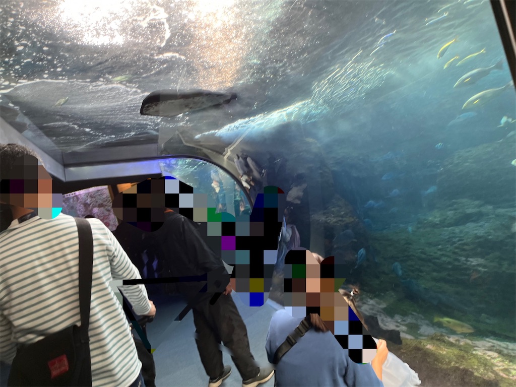 f:id:meta96_poke:20231120133247j:image