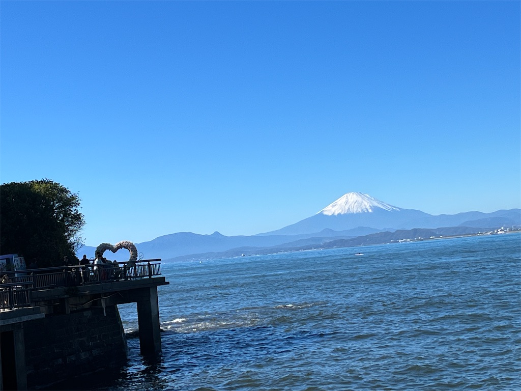 f:id:meta96_poke:20231120142301j:image