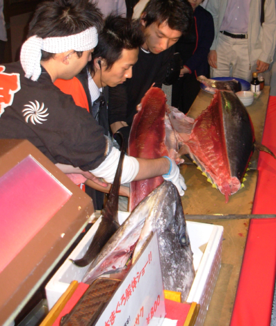 f:id:metabomax:20131216090601j:image