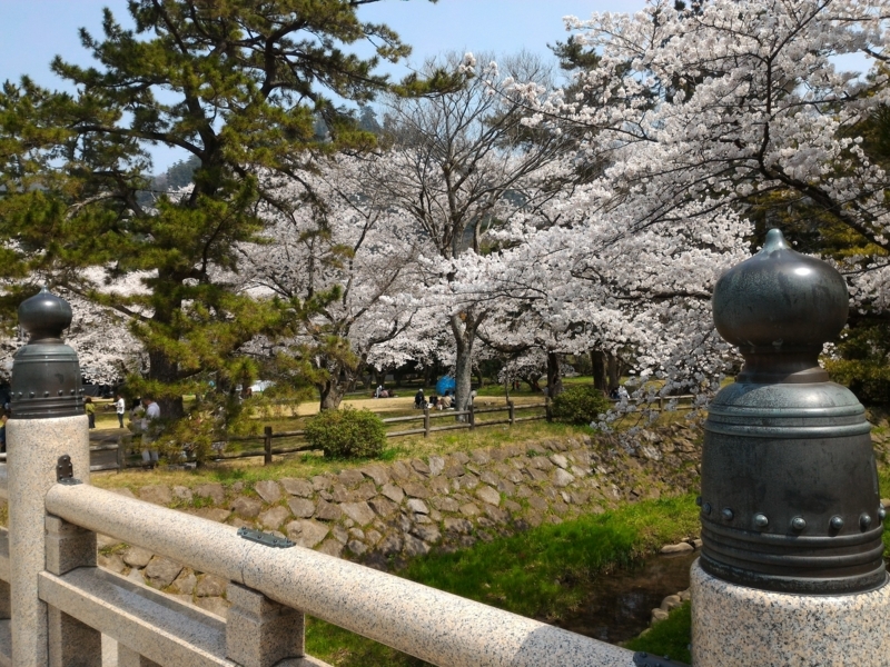 f:id:metabomax:20180401115207j:image