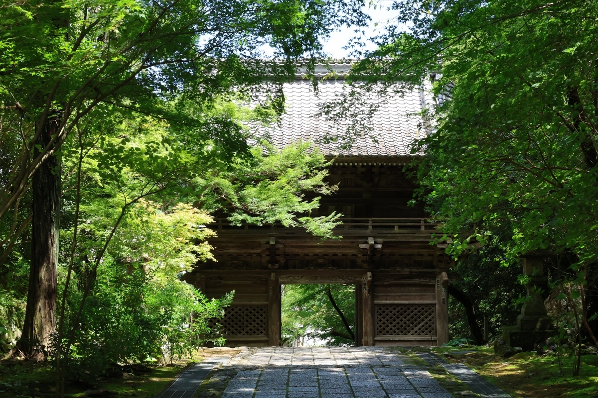 四国霊場八十八か所巡り 第31番札所 五台山 金色院 竹林寺 - metabomaxの旅と食とガイナーレな日記