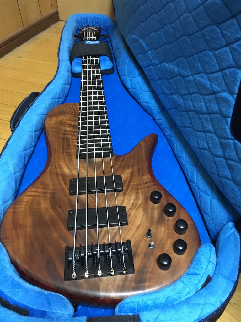 f:id:metakin45:20171123180641j:image