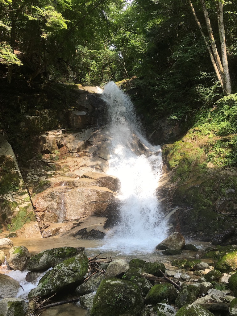 f:id:metakin45:20190818212325j:image