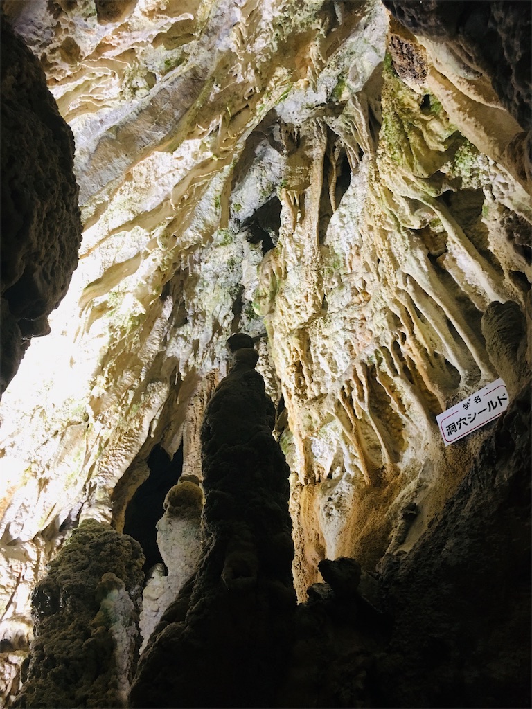 f:id:metakin45:20190830215904j:image