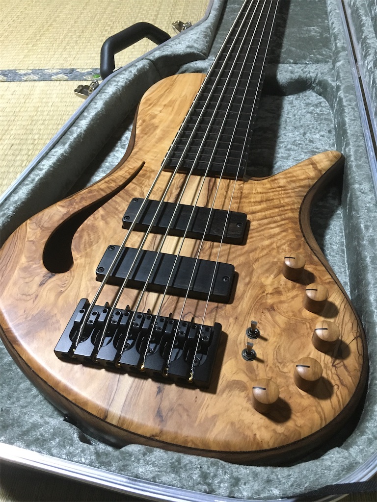 f:id:metakin45:20200131171314j:image