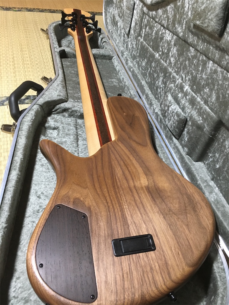 f:id:metakin45:20200131171359j:image