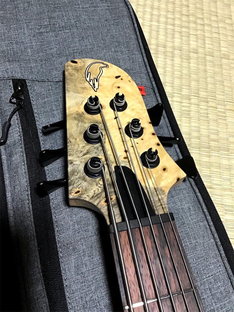 f:id:metakin45:20200624232108j:image