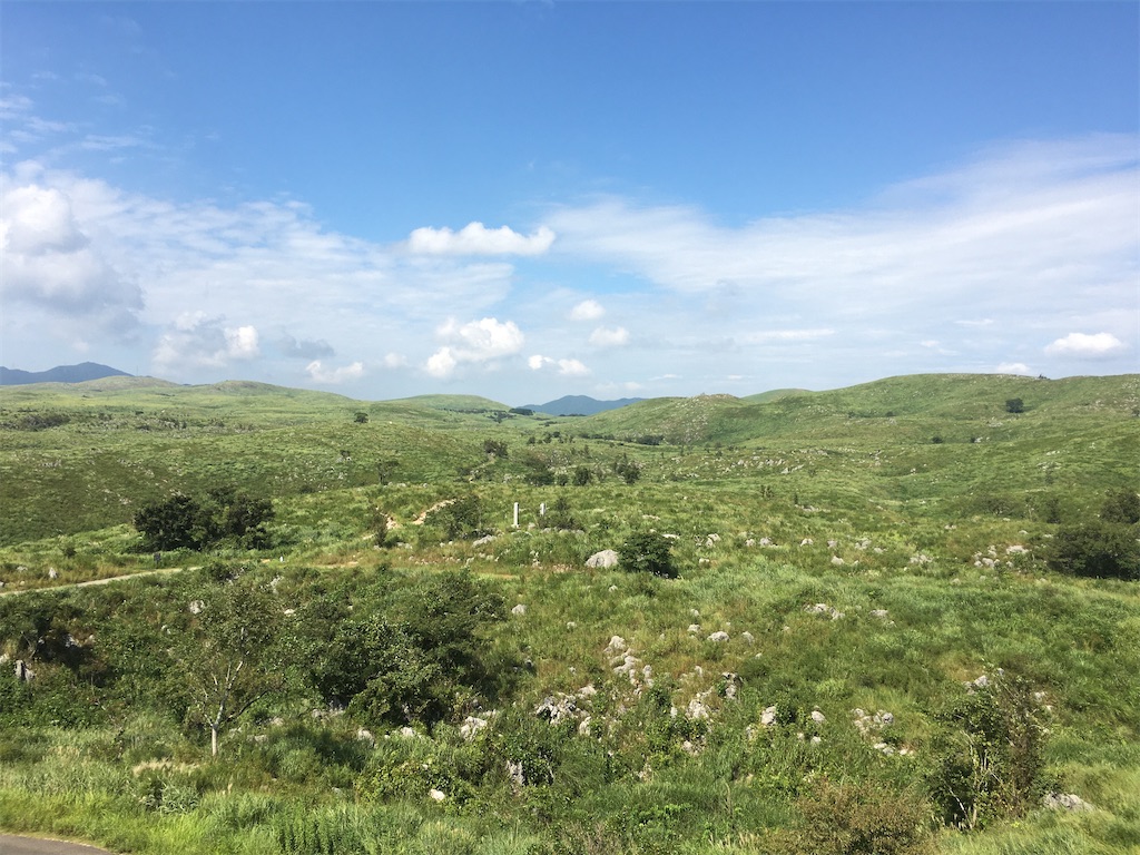 f:id:metakin45:20200904210823j:image